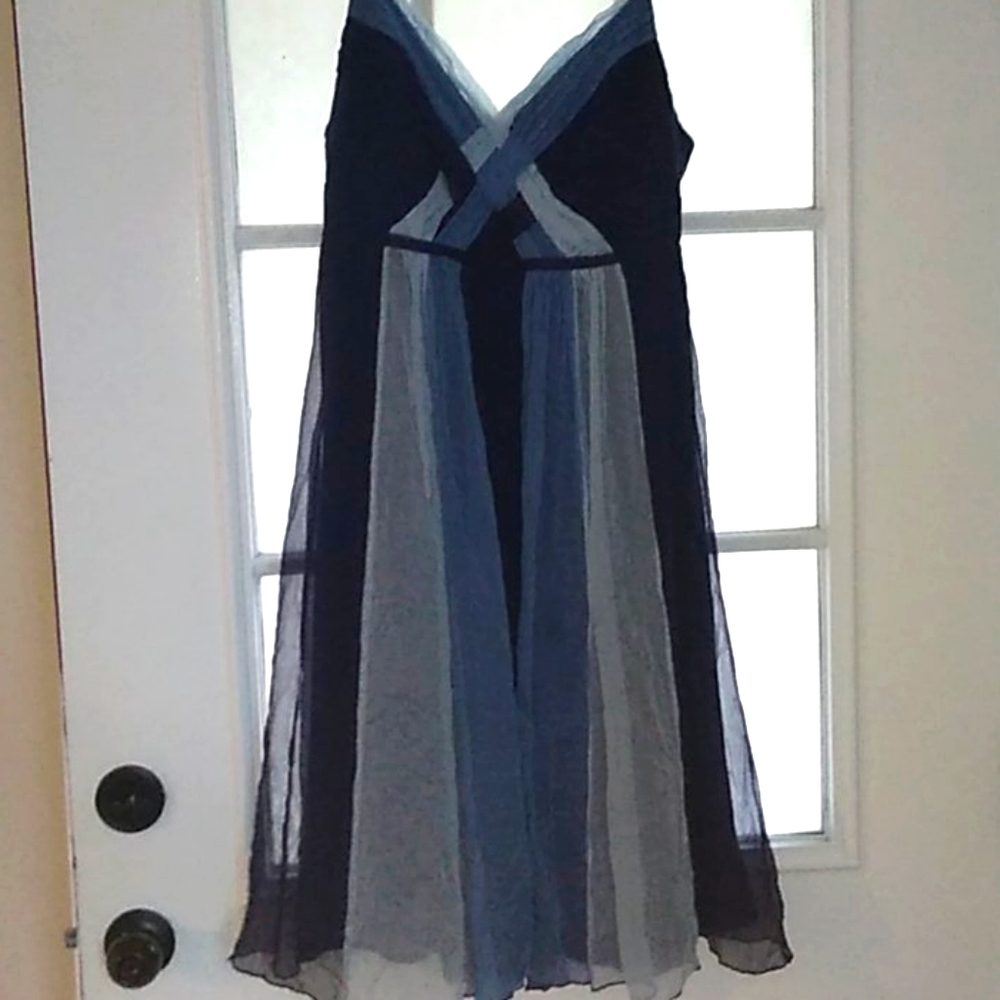 100% silk dress by Robbie Bee